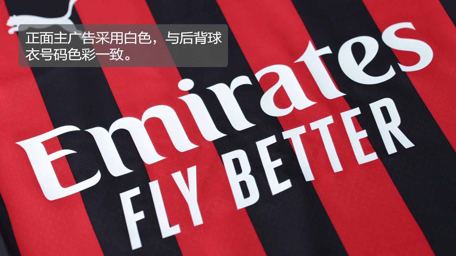 季后赛名额 季后赛名额